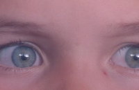 Bande-annonce de L'Armée des 12 singes