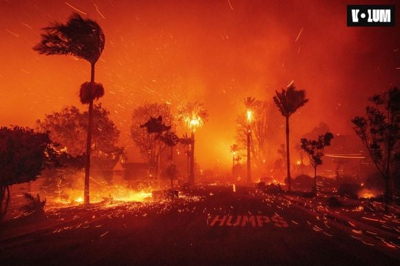 In The Path of Fire - 2025 - Collection Elton John/Jeu de Paume