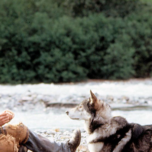 Ethan Hawke dans Croc Blanc