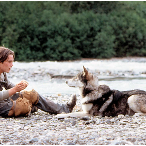 Ethan Hawke dans Croc Blanc