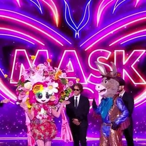 Le Bouquet et L'Âne sur le plateau de "Mask Singer" sur TF1.