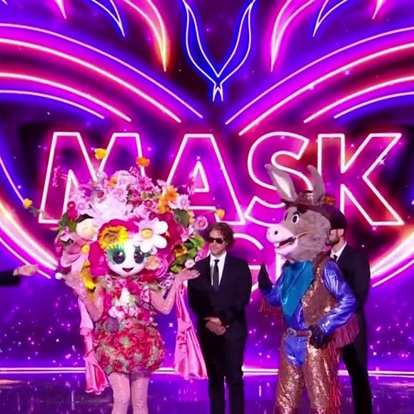 Le Bouquet et L'Âne sur le plateau de "Mask Singer" sur TF1.
