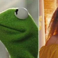 Kermit parodie Beyoncé : regardez !