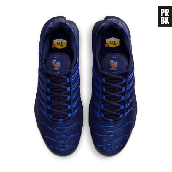 Nike Air Max Plus France