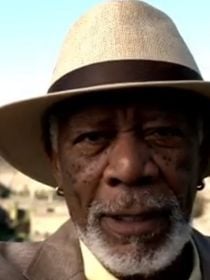 Morgan Freeman possédait 50 hectares de terrain et a décidé de les utiliser pour sauver l'environnement : son ranch est devenu un sanctuaire