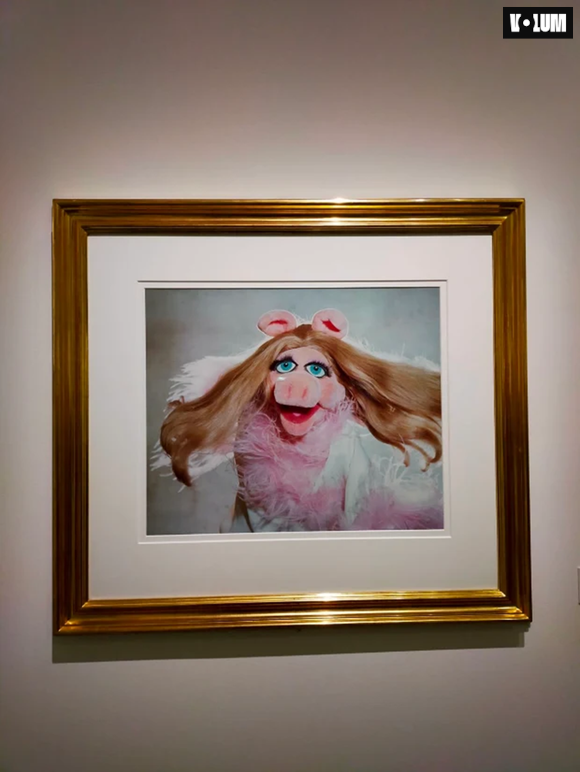 "Miss Piggy", Norman Parkinson, 1979.