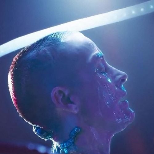 La réalisatrice de Matrix n'arrive pas à financer son prochain film à cause de son casting composé d'acteurs et d'actrices trans