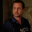 NCIS : 22 ans après ses débuts, McGee sur le départ ? L'inquiétante révélation de Sean Murray, "Enormes tournures inattendues..."