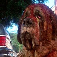 Il y a 42 ans, Stephen King était soulagé de voir un film changer la fin d'un de ses livres : "Je n'avais jamais reçu autant de messages de haine"