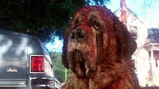 Il y a 42 ans, Stephen King était soulagé de voir un film changer la fin d'un de ses livres : "Je n'avais jamais reçu autant de messages de haine"