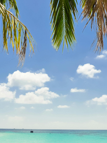 C'est scientifiquement prouvé : aller à la plage rend plus heureux, et même en réalité virtuelle