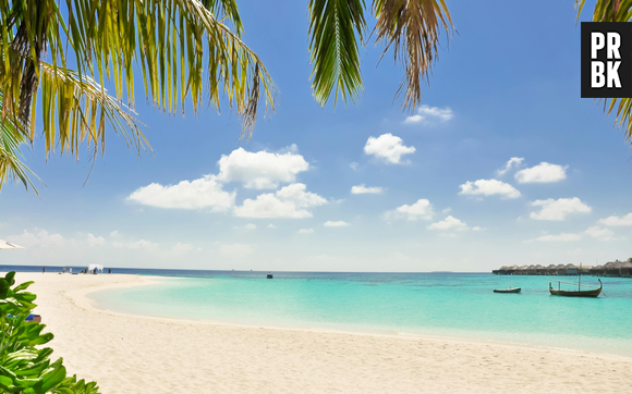 C'est scientifiquement prouvé : aller à la plage rend vraiment plus heureux, et même en réalité virtuelle