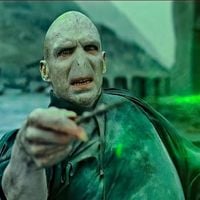 Harry Potter : les fans réclament cet acteur pour Voldemort, mais il refuse de jouer ce rôle, "Bonne chance à..."