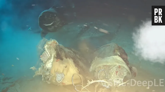 Des requins dormeurs du Pacifique observés dans le nord de la mer de Chine méridionale