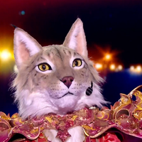 Mask Singer 2025 : le Lynx éliminé et déçu par le choix de chanson de la production, "Je me suis fait latter"