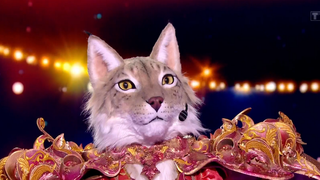 Mask Singer 2025 : le Lynx éliminé et déçu par le choix de chanson de la production, "Je me suis fait latter"