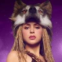 Shakira : pas de concerts en France !
