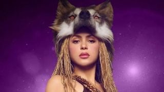 Shakira : pas de concerts en France !