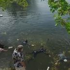 N°1 sur Netflix, ce film est pourtant le plus gros échec de cet acteur Oscarisé avec 745 000 dollars de recettes au box-office
