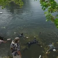 N°1 sur Netflix, ce film est pourtant le plus gros échec de cet acteur Oscarisé avec 745 000 dollars de recettes au box-office