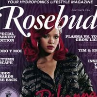 Troisième acte pour Rihanna et Eminem ?