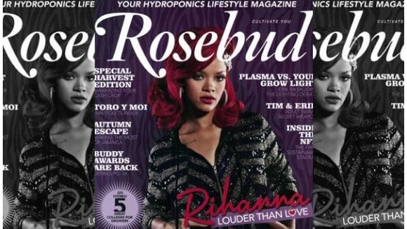 Troisième acte pour Rihanna et Eminem ?