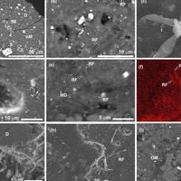 Digne d'un film de science-fiction : de la vie retrouvée dans un échantillon de l'astéroïde Ryugu !