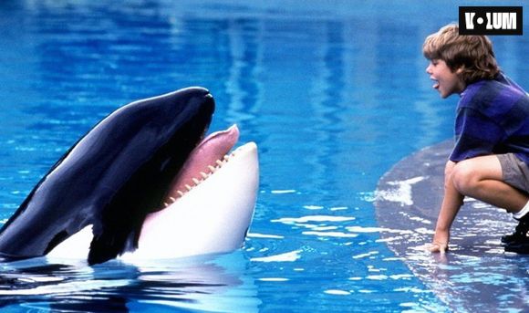 Sauvez Willy