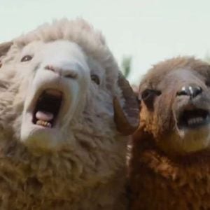 Les Moutons détectives : une suite possible ?