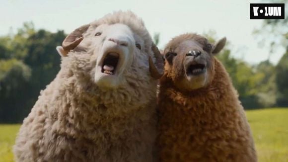 Les Moutons détectives : une suite possible ?