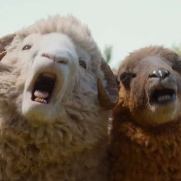Les Moutons détectives : une suite possible ?