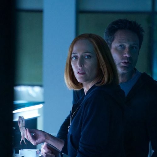 8 ans après sa fin, le reboot de cette série de science-fiction réserve une surprise de taille : le retour de ses deux héros emblématiques