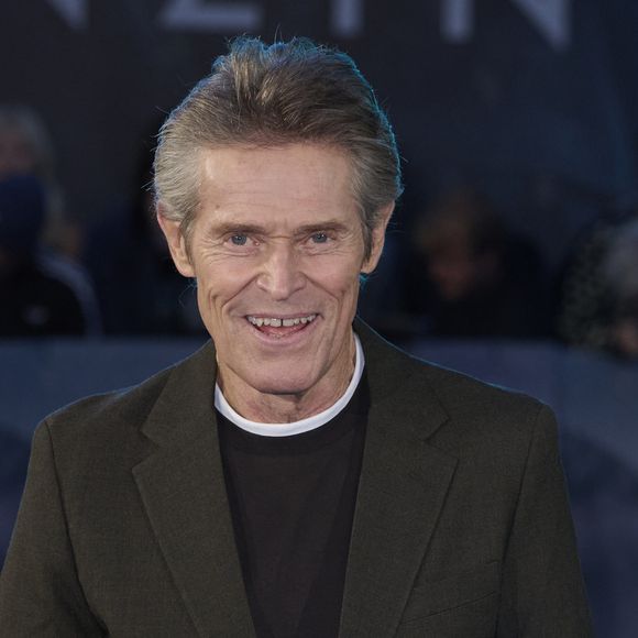 BGUK_3703275 - London, UNITED KINGDOM Celebrities including Tom Hiddleston and Genden Phunstock attending a special screening of 'Tenzing' at the Curzon Mayfair. Pictured: Willem Dafoe | 00772461