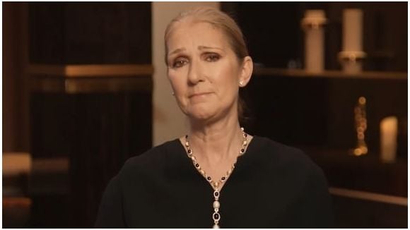 Céline Dion : nouveau projet reporté !