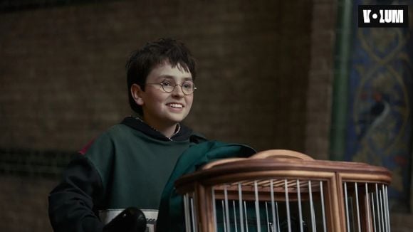 Quelle diffusion pour la série Harry Potter ?
