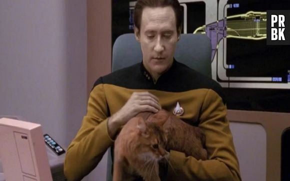Data et Spot dans Star Trek